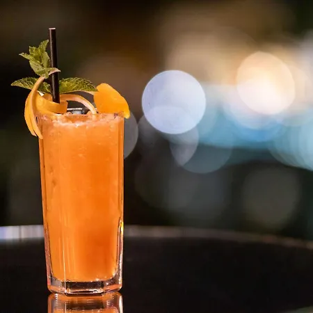 Hotel Sofitel Bellecour Lyon