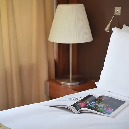 سوفيتل بيلكور فندق